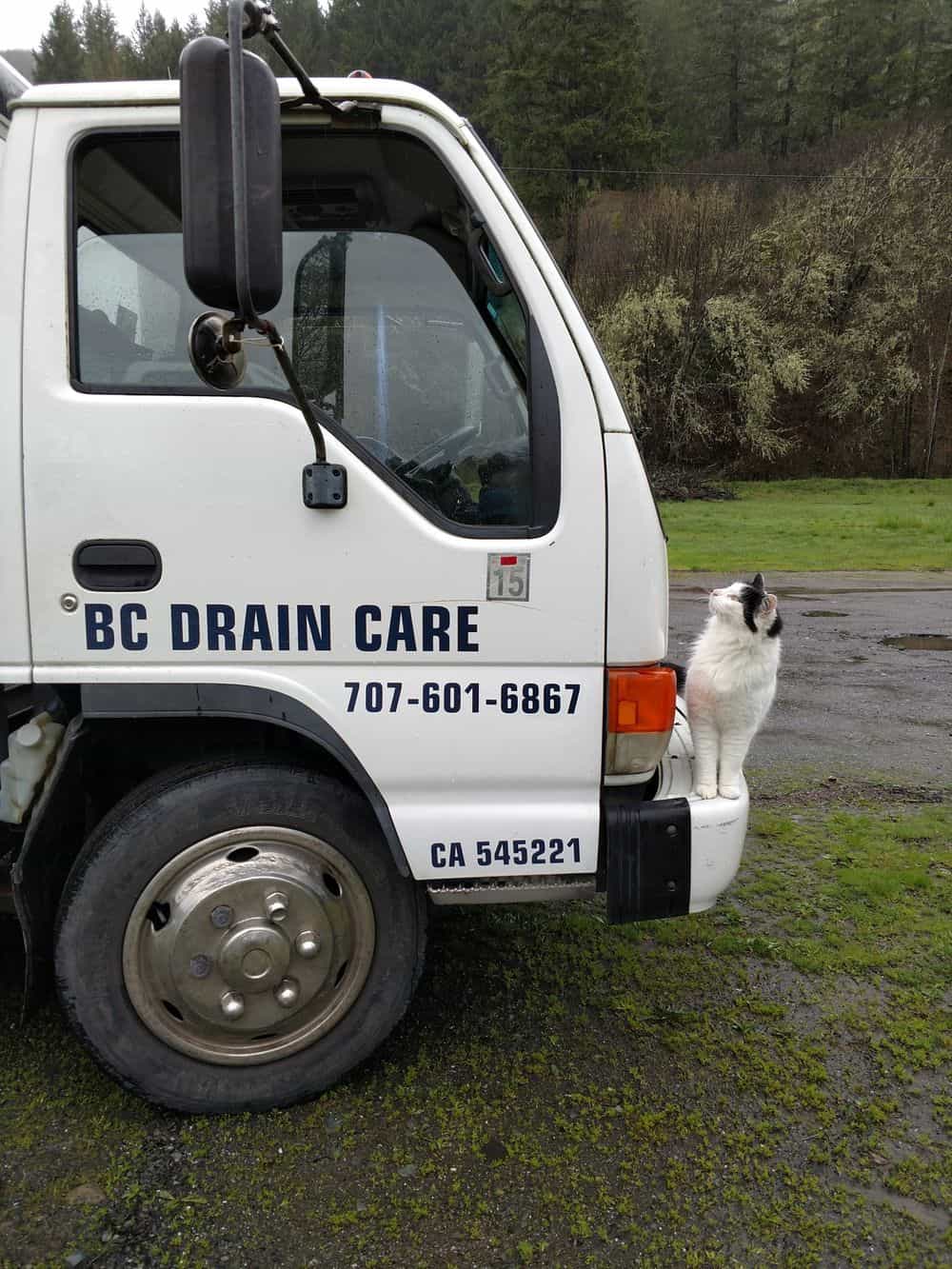 Hero image for BC Drain Care Plumbing